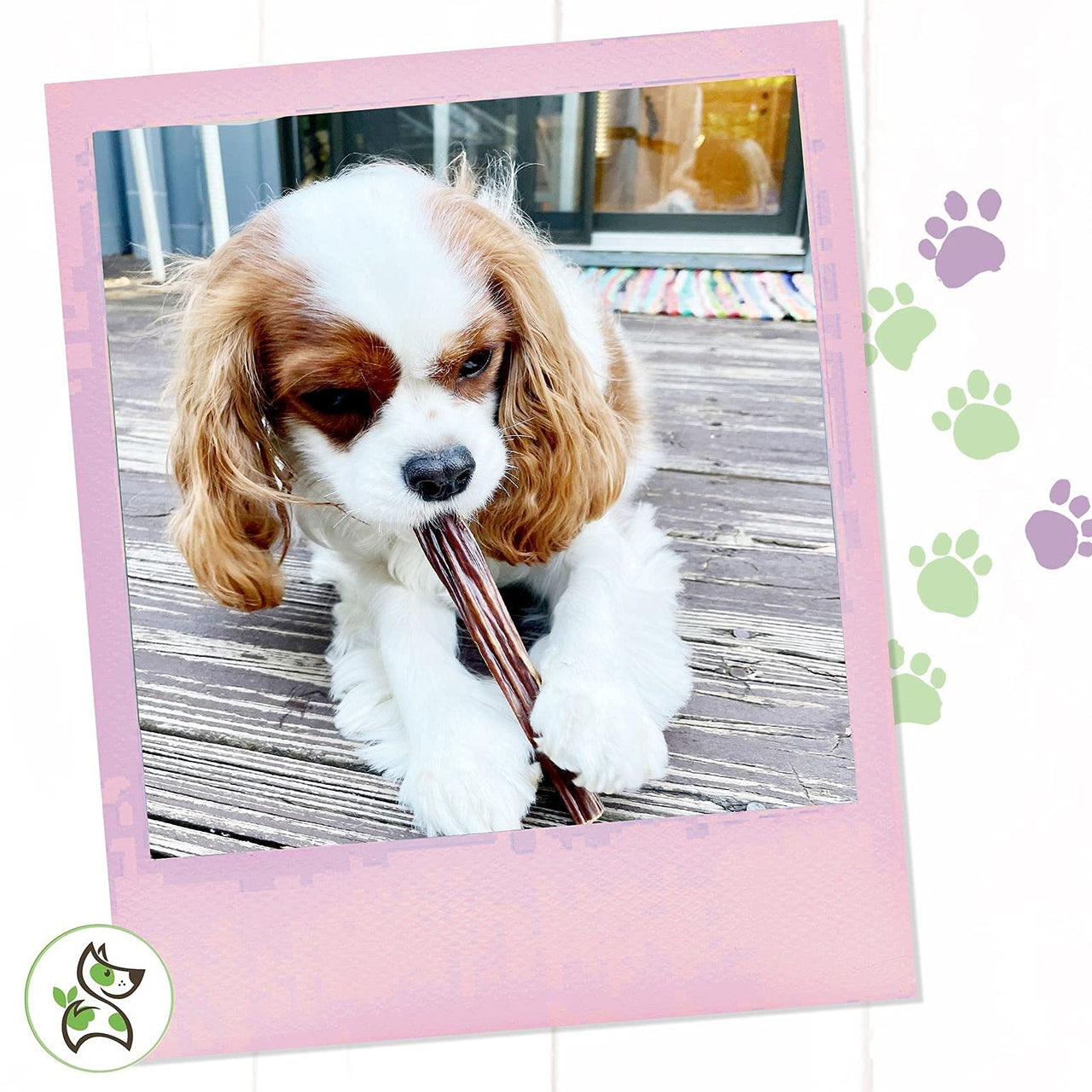 Nature Gnaws Beef Jerky Sticks for Dogs - Single Ingredient Beef Gullet Chew Treats - Simple Natural Delicious Dog Chews - Training Reward - 5-6 Inch