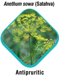 Himalaya Combo of Scavon Spray, 100 ml & Erina Coat Cleanser, 450 ml