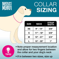 Max & Molly Soft Padded Neoprene Dog Collar w/Smart ID Gotcha! QR Pet Safety Tag, Durable, Waterproof, Anti-Stink, Machine Washable Collar for Dogs, Tropical Pattern, L