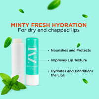 ZM Zayn & Myza Peppermint Lip Balm For Smile-ready Lips | with SPF Protection | Goodness of Almond Oil & Vitamin E | Moisturizes & Repairs Dry Lips, (4.5gm x 2) (Pack of 2)