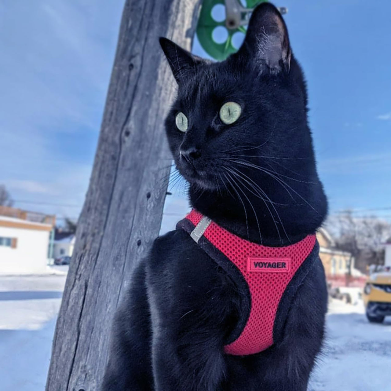 Voyager Step-in Air Dog Harness - All Weather Mesh Step in Vest Harness for Small and Medium Dogs and Cats by Best Pet Supplies - Harness (Red/Black Trim), L (Chest: 18-20.5") Harness (Red/Black Trim) L (Chest: 18 - 20.5")