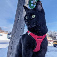 Voyager Step-in Air Dog Harness - All Weather Mesh Step in Vest Harness for Small and Medium Dogs and Cats by Best Pet Supplies - Harness (Red/Black Trim), L (Chest: 18-20.5