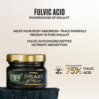 OG BEAUTY Wellness Himalayan Shilajit Resin - 20g | 100% Pure & Authentic | Lab-Certified | Sourced from the Himalayas