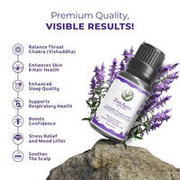 ZenAum Essences| Lavender, Ylang Ylang & Sandalwood Essential Oil | GMP, IFRA & ISO Certified |Pack Of 3-15ml Each