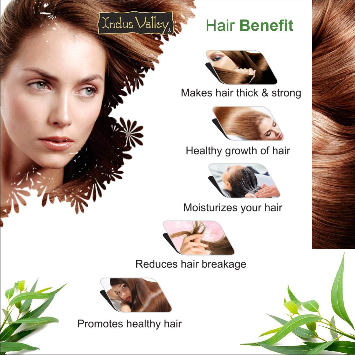 Indus Valley 100% Pure Natural & Organic, Undiluted Eucalyptus Essential Oil with Glass Dropper for Skin, Hair Care -15ml