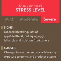 FlockLeader Recover 911, Severe Stress Probiotic Water Supplement for Chickens with Electrolytes, Prebiotics & Oregano, 8 oz