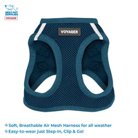 Voyager Step-in Air All Weather Mesh Harness and Reflective Dog 5 ft Leash Combo with Neoprene Handle, for Small, Medium and Large Breed Puppies by Best Pet Supplies - Set (Blue), S
