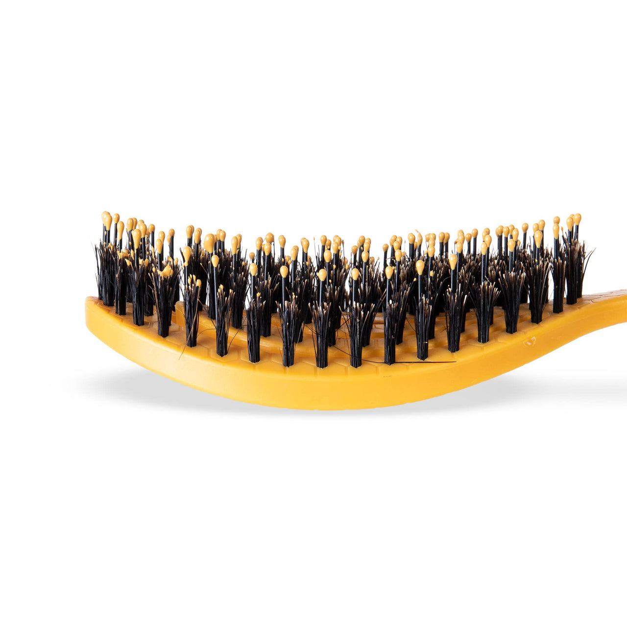 Burt’s Bees for Pets Porcupine Bristle Brush for Large Dogs with Handle Made from Recycled Plastics Collected from Coastal Communities | Large Flex-head Grooming Brush for Large Dogs Porcupine Bristle Plastic Brush 9 Inch