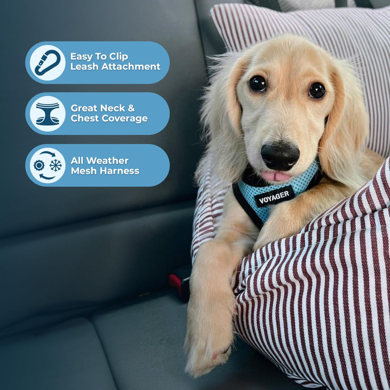 Voyager Step-in Air Dog Harness - All Weather Mesh Step in Vest Harness for Small and Medium Dogs and Cats by Best Pet Supplies - Harness (Baby Blue/Black Trim), M (Chest: 16-18") Harness (Baby Blue/Black Trim) M (Chest: 16 - 18")