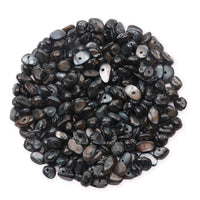 Yholin Irregular Stone Chips Beads Bulk - Hole Drilled Black Shell Chips, Crystal Tumbled Chips Stone Healing Crushed Rock Beads for DIY Craft Earring Jewelry Making and Home Decor,1 Strand