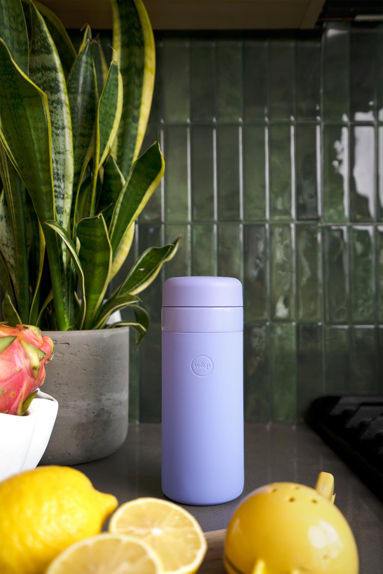 W&P Porter Insulated Water Bottle, 16oz Lavender, Vacuum Insulated Stainless Steel with Ceramic Coating, Leak Proof, Dishwasher Safe Water Bottle (16 oz)