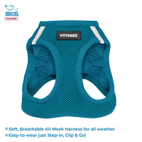 Voyager Step-in Air Cat Harness - All Weather Mesh Step in Vest Harness for Small and Medium Cats by Best Pet Supplies - Set (Turquoise), XXS