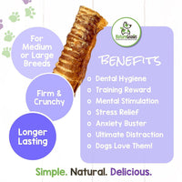 Nature Gnaws Beef Trachea for Dogs - Premium Natural Beef Bones - Simple Single Ingredient Crunchy Dog Chew Treats - Rawhide Free 12 Count (Pack of 1)