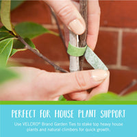 VELCRO Brand VEL-30087-AMS ONE-WRAP Ties Starter Pack for Container Gardens or Houseplants, 12pcs, Pre-Cut, 6 in x 1/2 in, Green-Recycled Plastic Green - Recycled Plastic