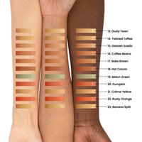 PAC Take Cover Concealer - 04 (Crème Buff)