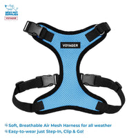 Voyager Step-in Lock Dog Harness w Reflective Dog Leash Combo Set with Neoprene Handle 5ft - Supports Small, Medium and Large Breed Puppies/Cats by Best Pet Supplies - Baby Blue/Black Trim, S Harness Leash Set (Baby Blue/Black Trim) S (Chest: 15 - 18