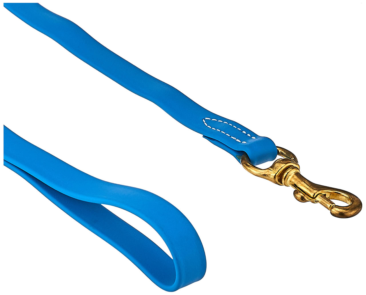 J&J Dog Supplies Biothane Dog Leash, 3/4" Wide by 6' Long, Sky Blue