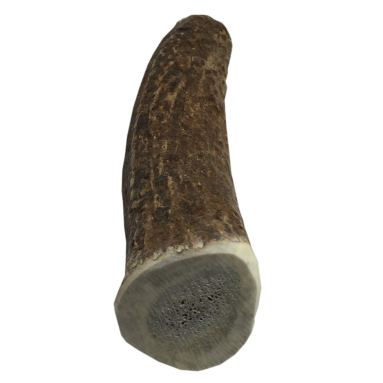 Elk Antler Chews for Dogs | Naturally Shed USA Collected Elk Antlers | All Natural A-Grade Premium Elk Antler Dog Chews | Product of USA, Single Pack Large Whole Large (Pack of 1)