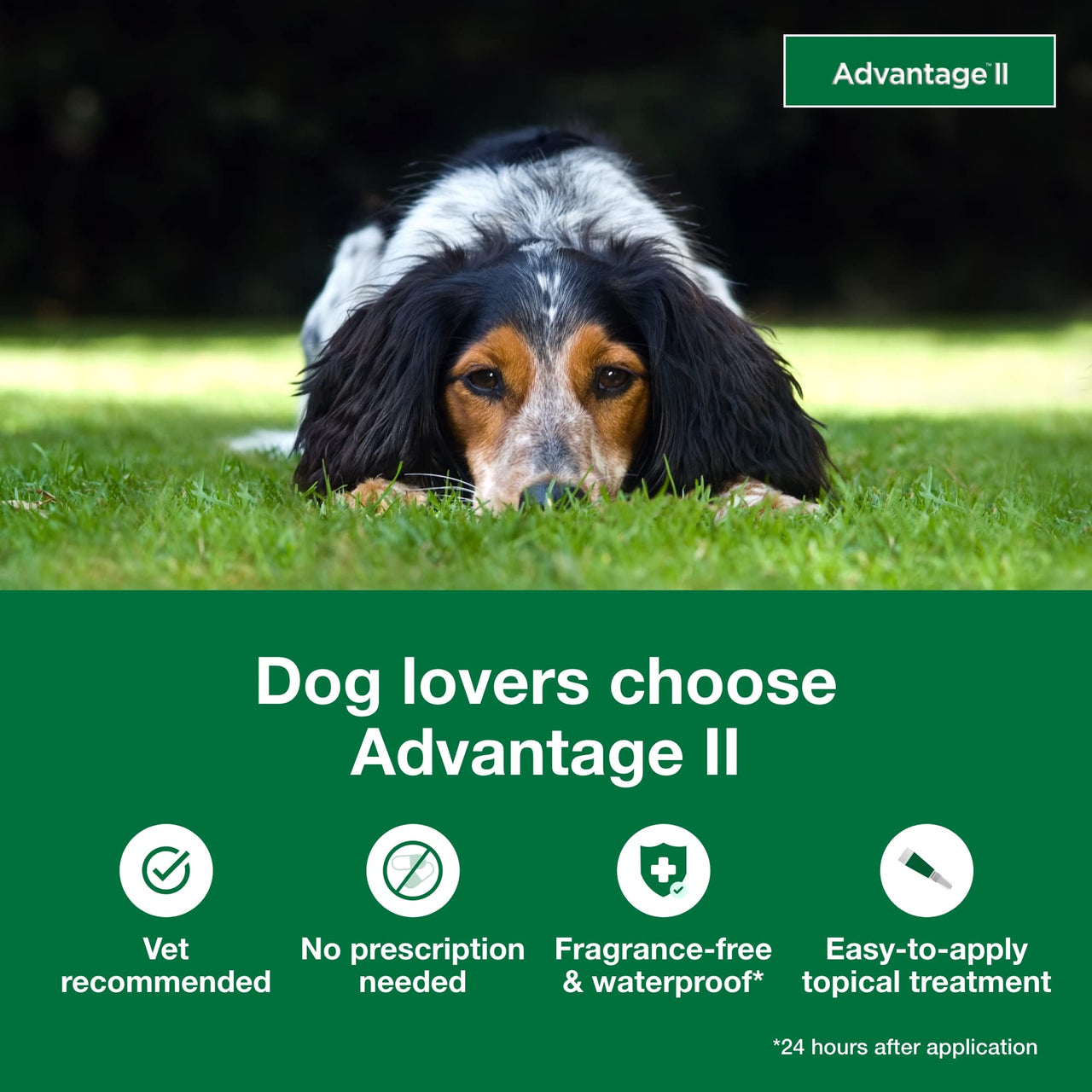 Advantage II Medium Dog Vet-Recommended Flea Treatment & Prevention | Dogs 11-20 lbs. | 4-Month Supply 4-Pack