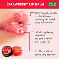 Vaadi Herbals Assorted Lip Balms, 10g (Pack of 5) 100% Natural Lip Balms| For Dry & Chapped Lips | 24hr Hydration |