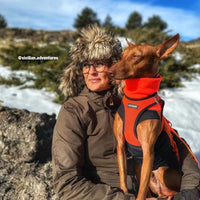 Voyager Step-in Air Cat Harness - All Weather Mesh Step in Vest Harness for Small and Medium Cats by Best Pet Supplies - Harness (Orange/Black Trim), XXXS (Chest: 9.5-10.5