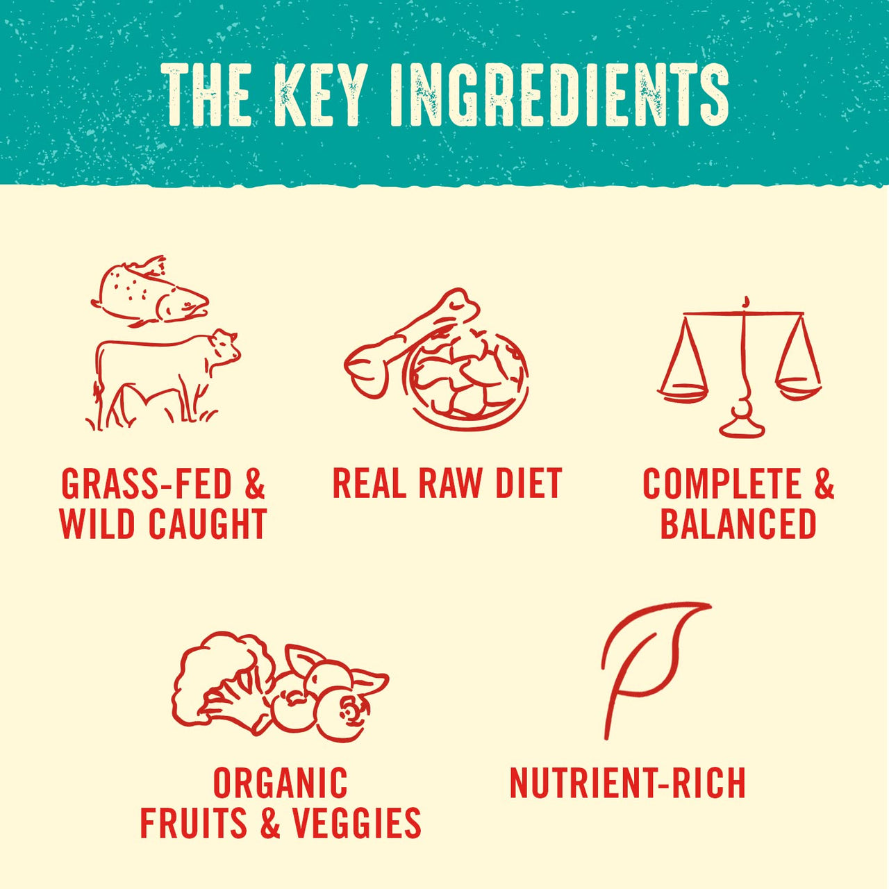 Stella & Chewy's  Freeze Dried Raw Dinner Patties – Grain Free Dog Food, Protein Rich Surf ‘N Turf Salmon & Beef Recipe – 25 oz Bag 1.56 Pound (Pack of 1)