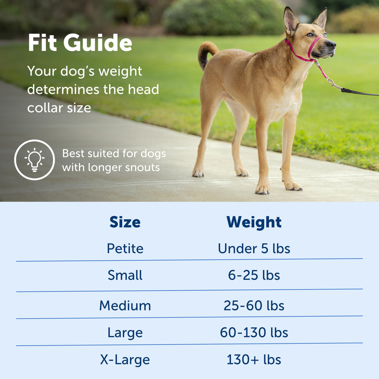 PetSafe Gentle Leader No-Pull Dog Headcollar - The Ultimate Solution to Pulling - Redirects Your Dog's  Pulling For Easier Walks - Helps You Regain Control - Medium , Silver