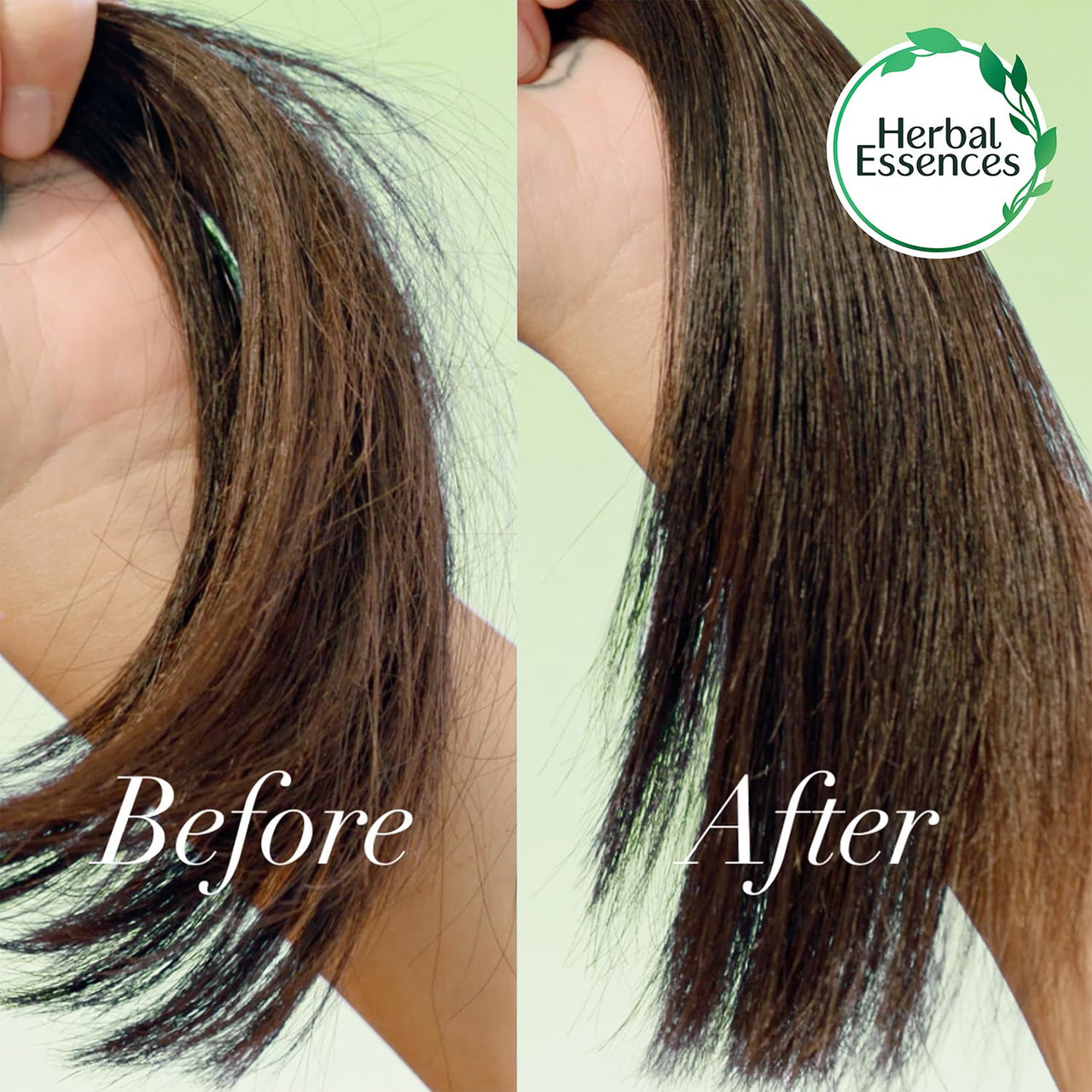 Herbal Essences bio:renew Rosemary and Herbs SHAMPOO, 400ml, No Parabens No Colorants