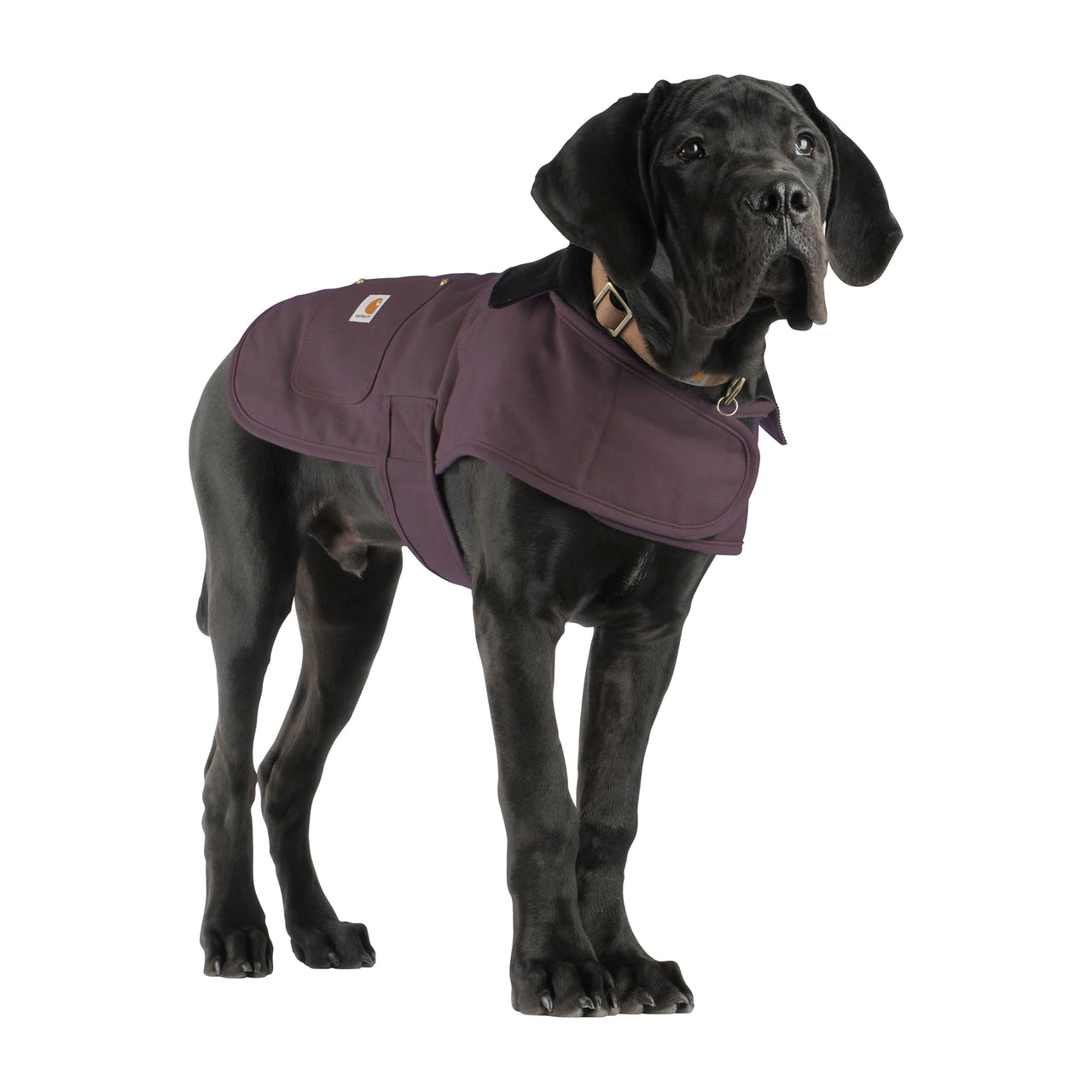 Carhartt Firm Duck Insulated Dog Chore Coat, Deep Wine, Large