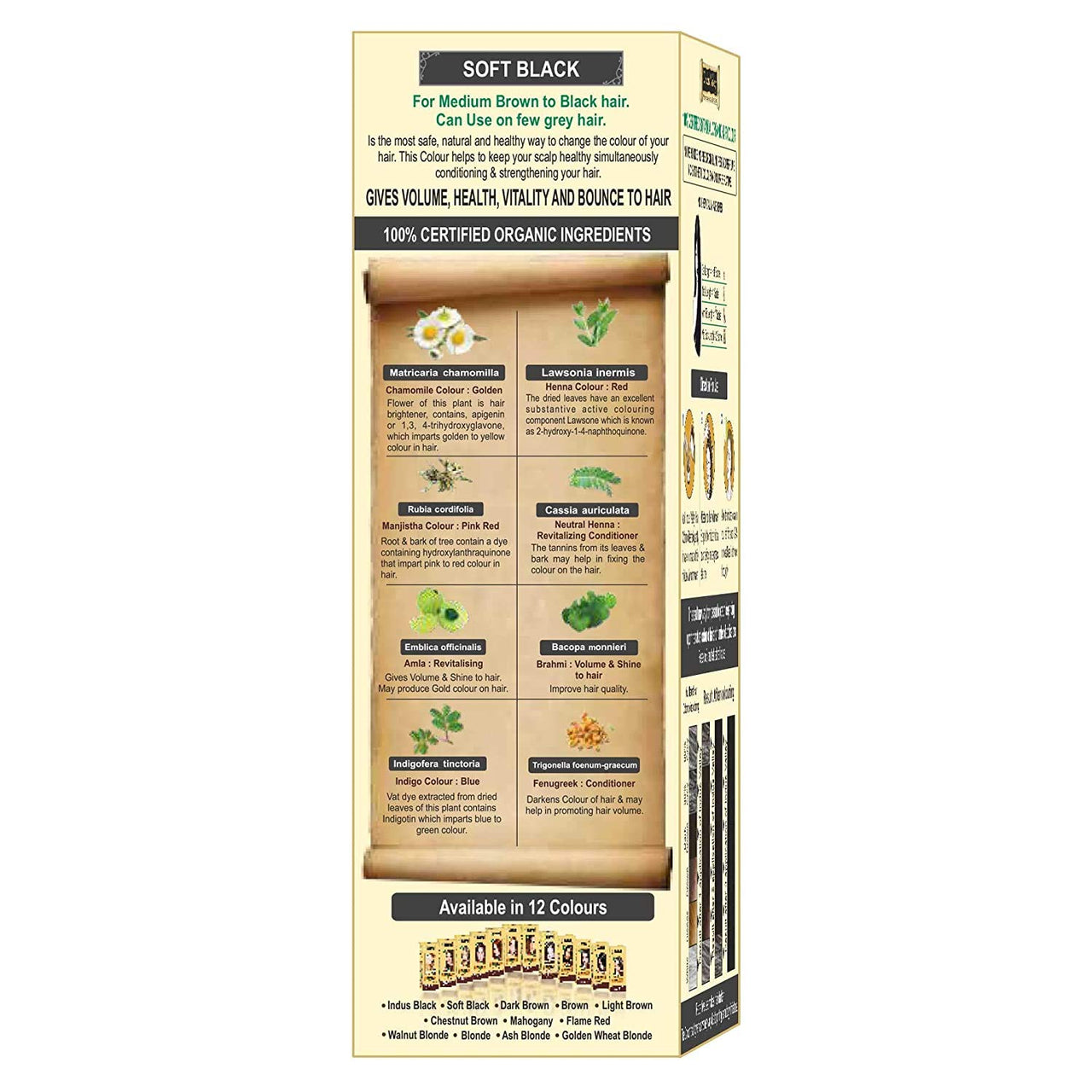 INDUS VALLEY Combo Kit For Styling & Hair Care| 100% Organic & Chemical Free Botanical Hair Color 120 g - Soft Black with 200ml Color Protective Shampoo & Conditioner (120g + 200 ml)