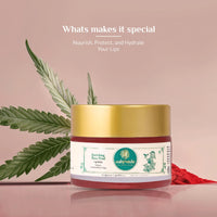 Ashpveda Ayurvedic Rose Petal Lip Balm For Dry & Chapped Lips With Kokum Fruit, Rose Flowers and Almond Oil | Lip UV Protection & Nourishment | Lip Balm with SPF for Soft Pink Lips