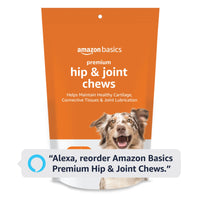 Basics Premium Dog Hip & Joint Supplement Chews with EPA and DHA, Chicken Liver Flavor, 120 Count (Previously Solimo) 120 Count (Pack of 1)