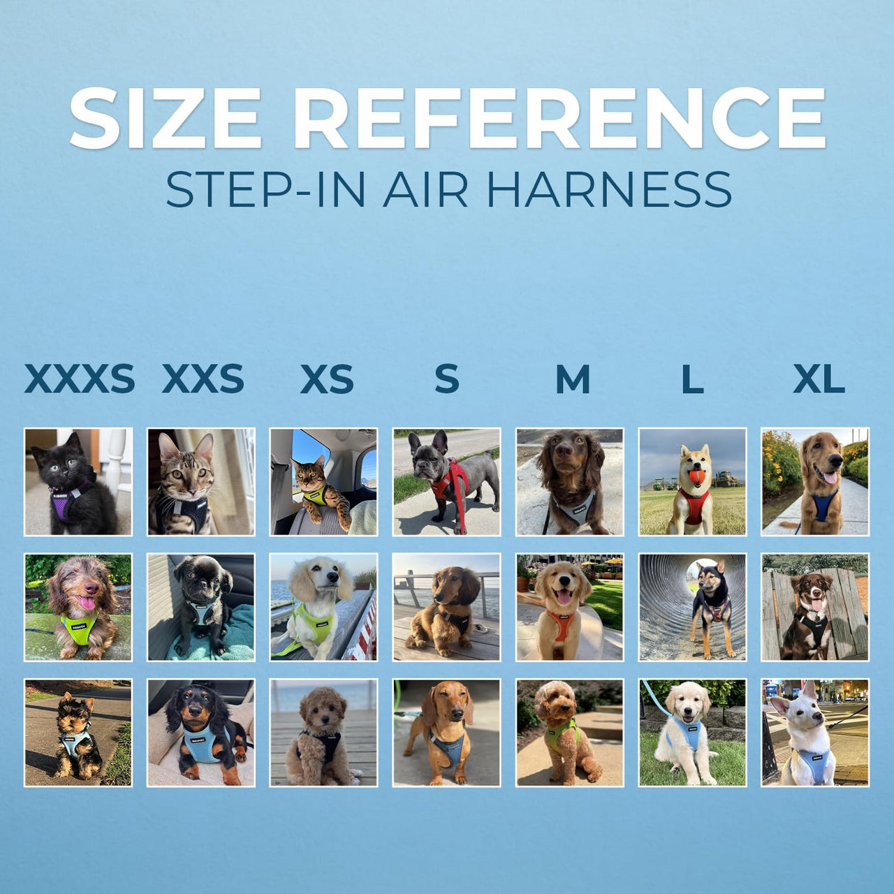 Voyager Step-in Air Dog Harness - All Weather Mesh Step in Vest Harness for Small and Medium Dogs and Cats by Best Pet Supplies - Harness (Turquoise 2-Tone), XL (Chest: 20.5-23")