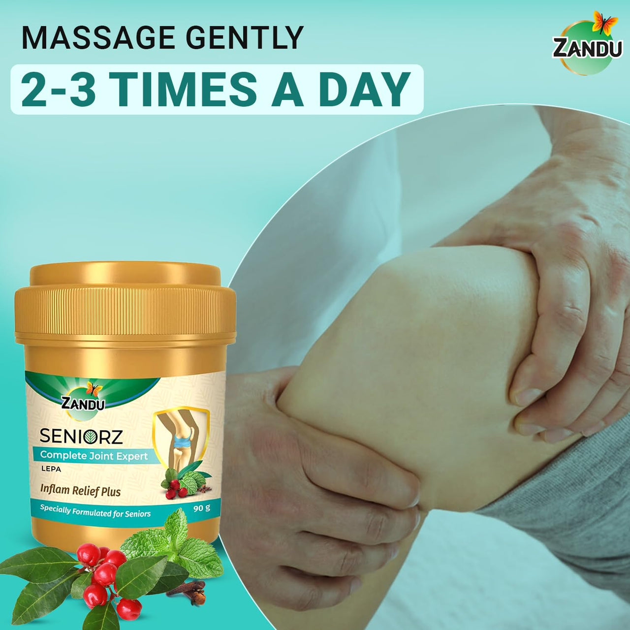 Zandu Seniorz Complete Joint Expert Lepa, 90g, Helps reduce muscular & joint pain, Increase Joint Flexibility & Reduce Joint Stiffness, 100% Ayurvedic & Natural Balm