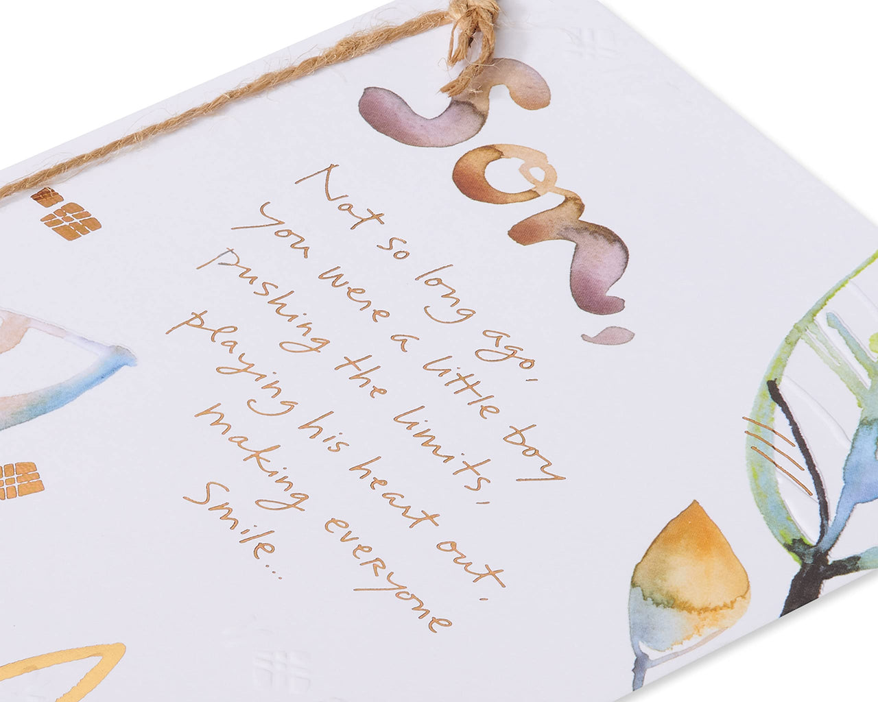 American Greetings Birthday Card for Son (Not Much Has Changed)