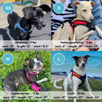 Gooby Escape Free Easy Fit Harness - Orange, Large - No Pull Step-in Patented Small Dog Harness with Quick Release Buckle - Perfect On The Go No Pull Harness for Small Dogs or Medium Dog Harness Large chest (20.25~24.75