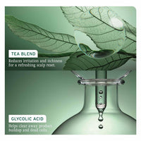 Biolage ScalpSync Concentrate –Scalp Exfoliating & Purifying Treatment, Clarifies Build-Up & Balances Scalp for upto 72hrs-With Fermented Tea Blend & Glycolic Acid, 200ml