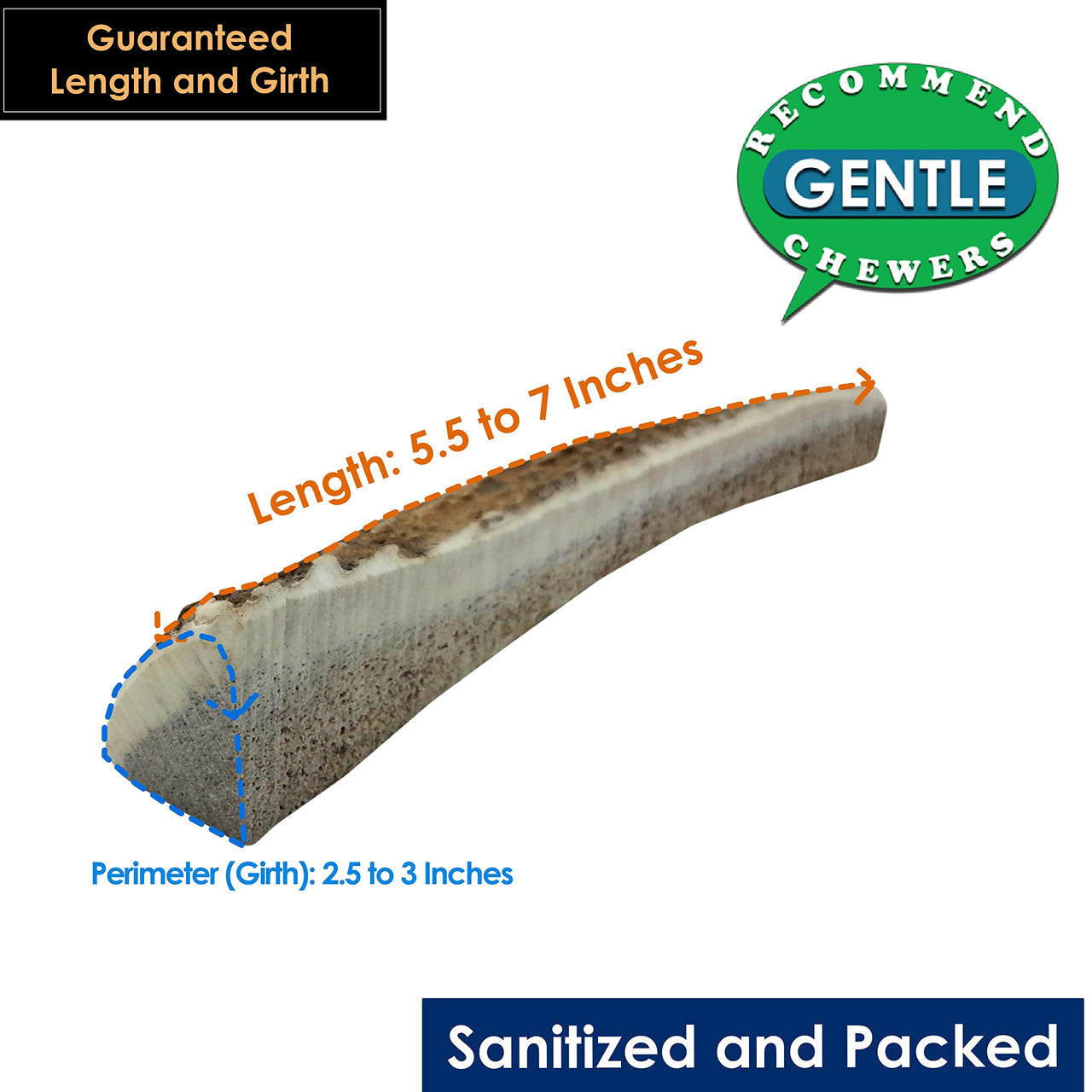 Elk Antler Chews for Dogs | Naturally Shed USA Collected Elk Antlers | All Natural A-Grade Premium Elk Antler Dog Chews | Product of USA, 3-Pack Medium Split 3 Count (Pack of 1)