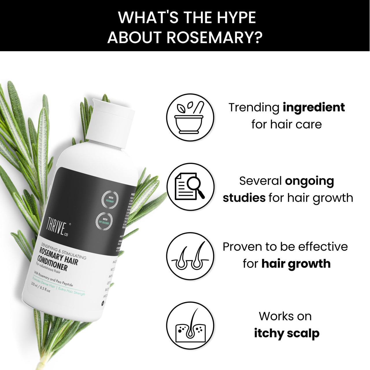 ThriveCo Rosemary Hair Conditioner For Voluminous Hair | Densifying & Stimulating Hair Growth | Promotes Hair Strength | With Pea Peptide & Caffeine | Paraben & Sulfate Free | For Men & Women | 250ml