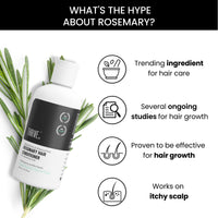 ThriveCo Rosemary Hair Conditioner For Voluminous Hair | Densifying & Stimulating Hair Growth | Promotes Hair Strength | With Pea Peptide & Caffeine | Paraben & Sulfate Free | For Men & Women | 250ml