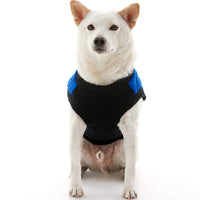 Gooby Fashion Vest Dog Jacket - Blue, X-Large - Warm Zip Up Dog Bomber Vest with Dual D Ring Leash - Winter Water Resistant Small Dog Sweater - Dog Clothes for Small Dogs Boy or Medium Dogs X-Large chest (~20.5