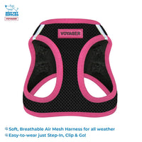 Voyager Step-in Air All Weather Mesh Harness and Reflective Dog 5 ft Leash Combo with Neoprene Handle, for Small, Medium and Large Breed Puppies by Best Pet Supplies - Black/Pink Trim, Large