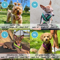Gooby Comfort X Head In Harness - Green, Large - No Pull Small Dog Harness, Patented Choke-Free X Frame - Perfect on the Go Dog Harness for Medium Dogs No Pull or Small Dogs for Indoor and Outdoor Use Large Chest (17-22.5