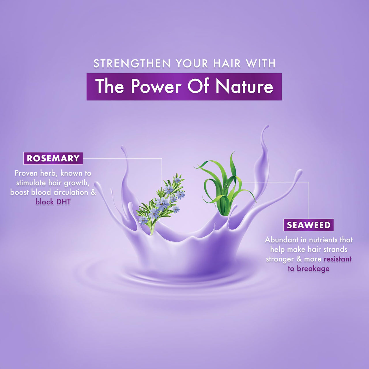 DABUR Vatika Rosemary & Seaweed Anti-Hairfall Shampoo - 640Ml|Reduces Hair Fall|Stimulates Hair Growth And Thickness|Co-Created With Dermatologist|No Sulphates, Silicones & Parabens|Animal Test Free