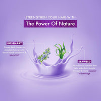 DABUR Vatika Rosemary & Seaweed Anti-Hairfall Shampoo - 640Ml|Reduces Hair Fall|Stimulates Hair Growth And Thickness|Co-Created With Dermatologist|No Sulphates, Silicones & Parabens|Animal Test Free