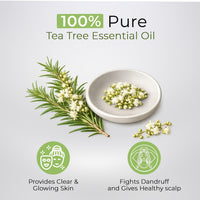 ZenAum Essences 100% Pure & Natural Australian Tea Tree Essential Oil for Scalp Care | Controls Dandruff & Cleanses Scalp | For Men & Women | FDA Approved | GMP, IFRA & ISO Certified | 15ml