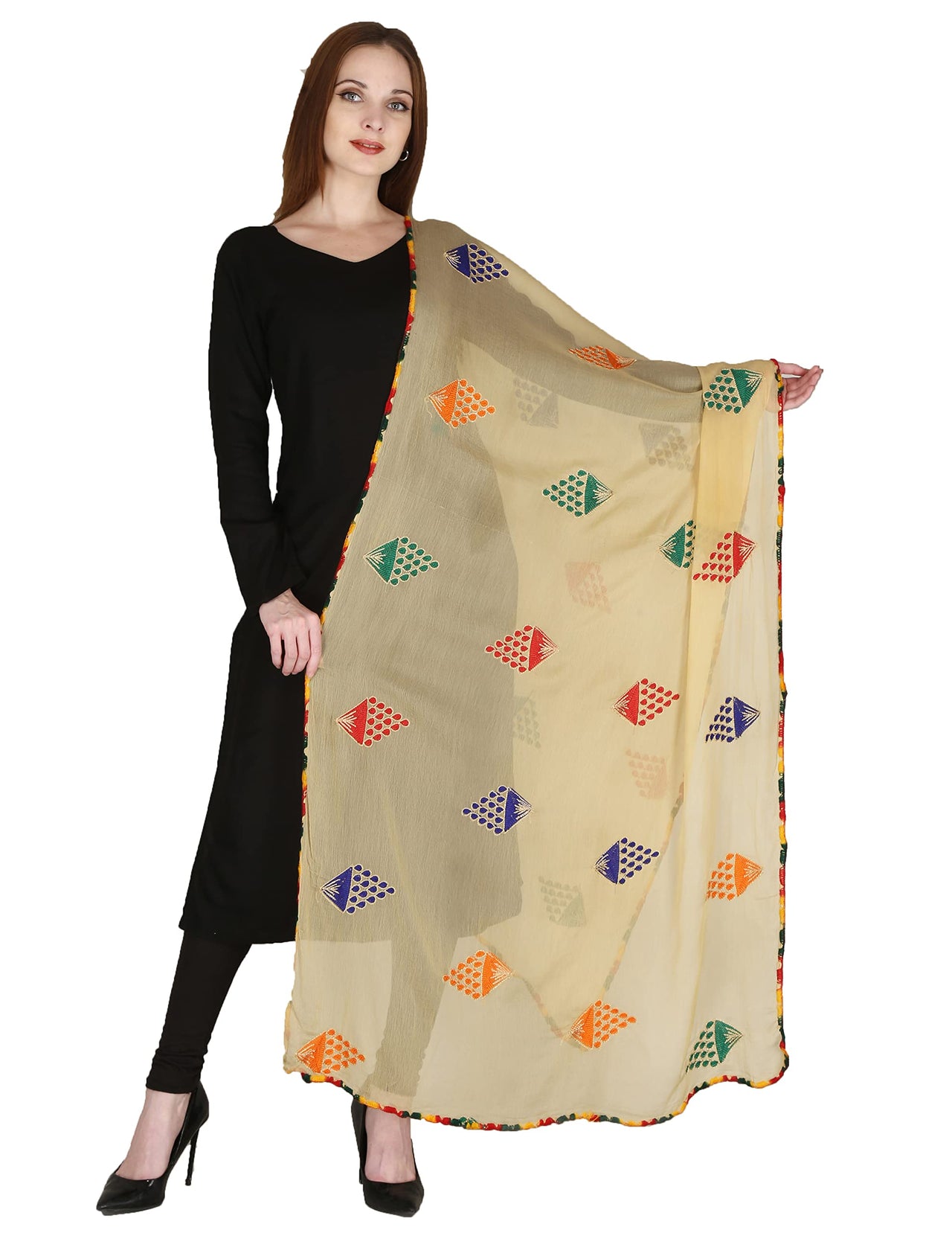 DIAMO Embroidered Chiffon Women's  Dupatta