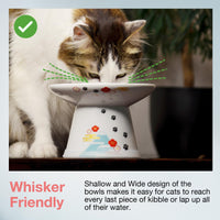 Necoichi Extra Wide Raised Cat Food Bowl, Elevated, Prevent Neck & Whisker Fatigue, Dishwasher and Microwave Safe, No.1 Seller in Japan! (Fuji Limited Edition, Extra Wide)