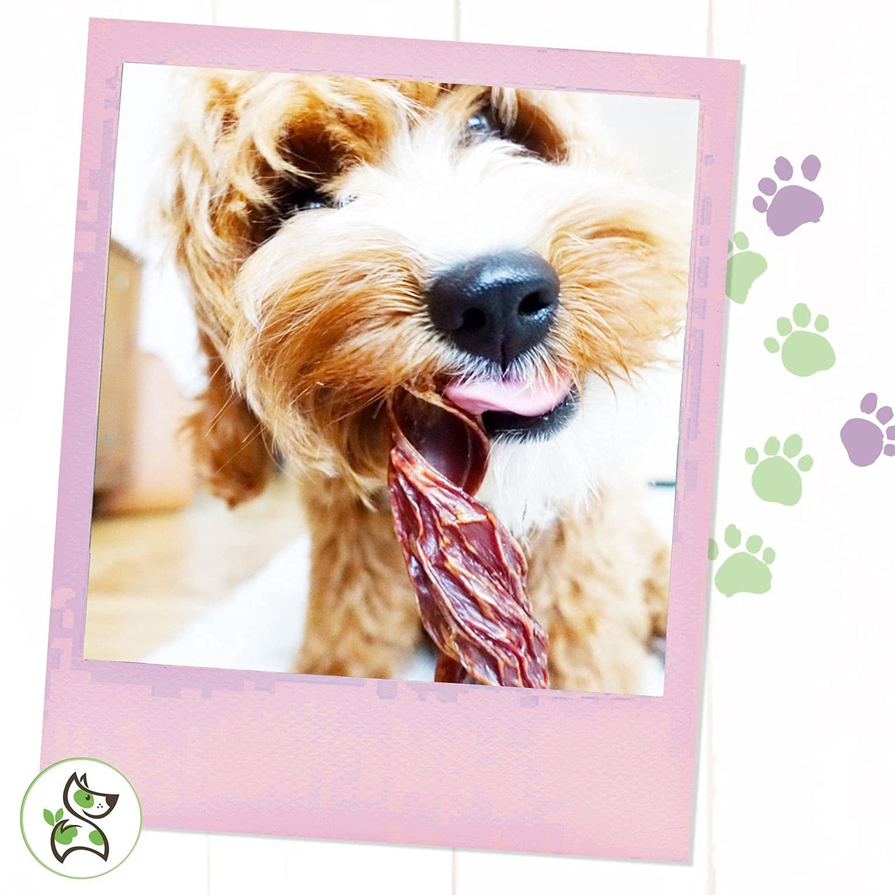 Nature Gnaws - Beef Jerky Springs for Dogs - Premium Natural Beef Gullet Sticks - Simple Single Ingredient Tasty Dog Chew Treats - Rawhide Free 7-8 Inch 6 Count (Pack of 1)