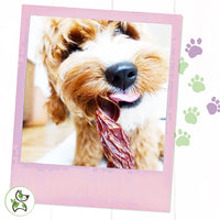 Nature Gnaws - Beef Jerky Springs for Dogs - Premium Natural Beef Gullet Sticks - Simple Single Ingredient Tasty Dog Chew Treats - Rawhide Free 7-8 Inch 6 Count (Pack of 1)